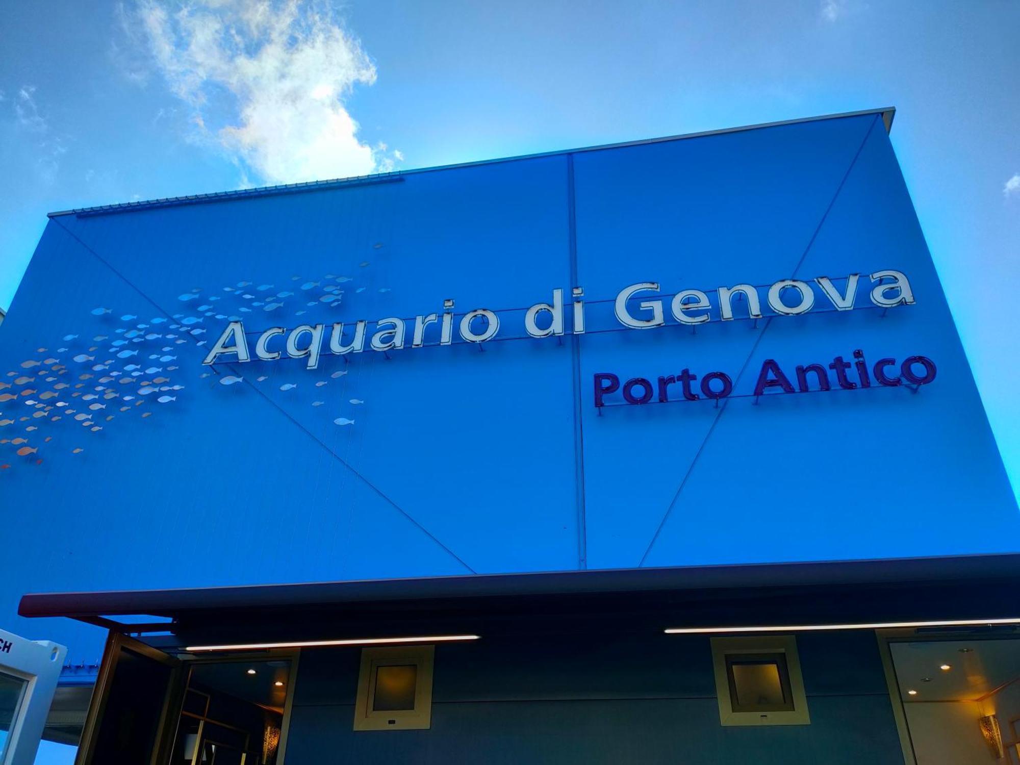 Apartment Ponte Calvi Genoa